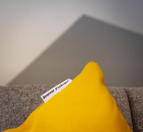Arty Cushion